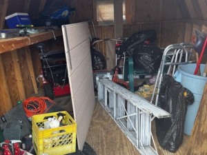 BEFORE - Shed Cleanout