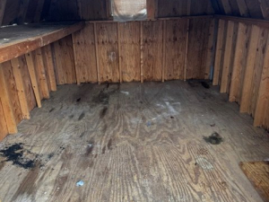 AFTER - Shed Cleanout