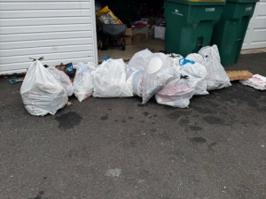 BEFORE - Trash Pickup