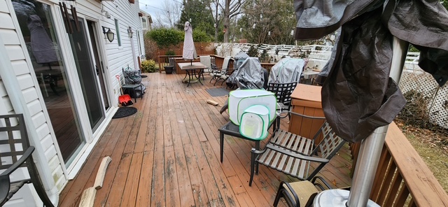 BEFORE - Deck Removal