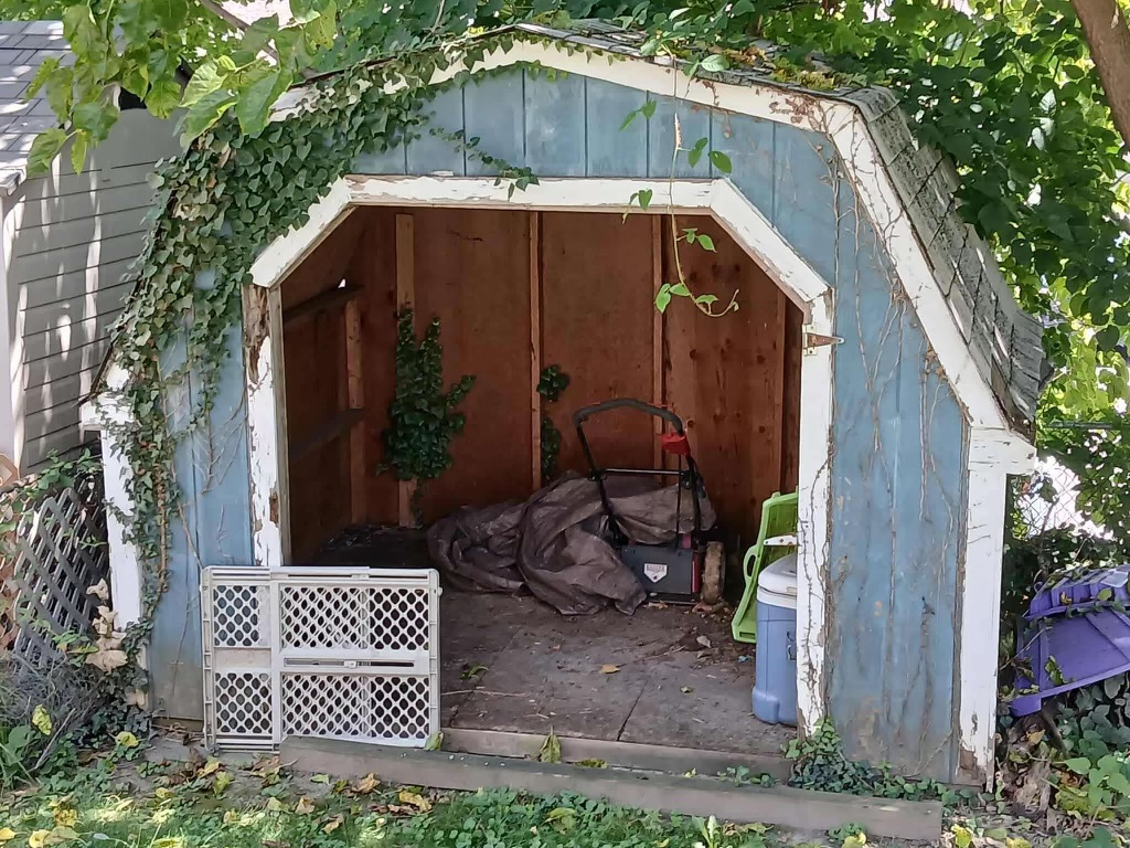 BEFORE - Shed Removal