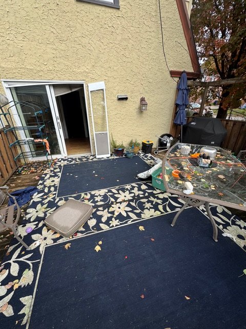 BEFORE - Cleanout
