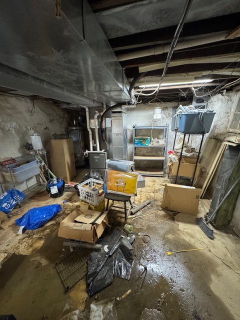 BEFORE - Cleanout