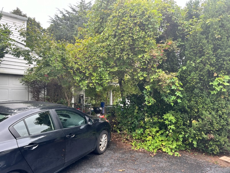Brush & Yard Waste Removal - MCM Hauling of Philadelphia, PA
