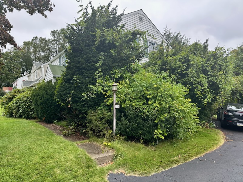 Brush & Yard Waste Removal - MCM Hauling of Philadelphia, PA