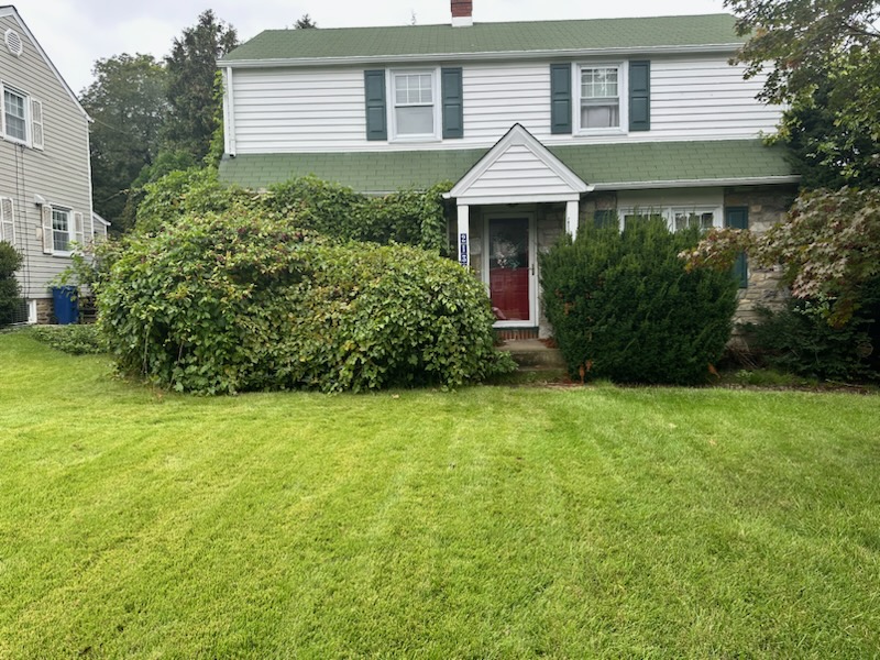 Brush & Yard Waste Removal - MCM Hauling of Philadelphia, PA