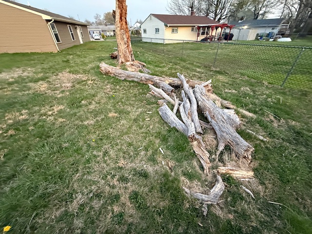 Cut Downed Tree & Removed It