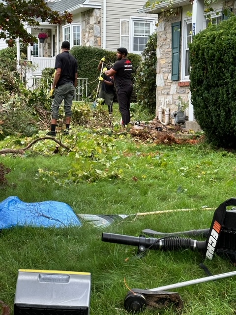 Brush & Yard Waste Removal - MCM Hauling of Philadelphia, PA