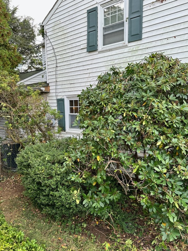 Brush & Yard Waste Removal - MCM Hauling of Philadelphia, PA