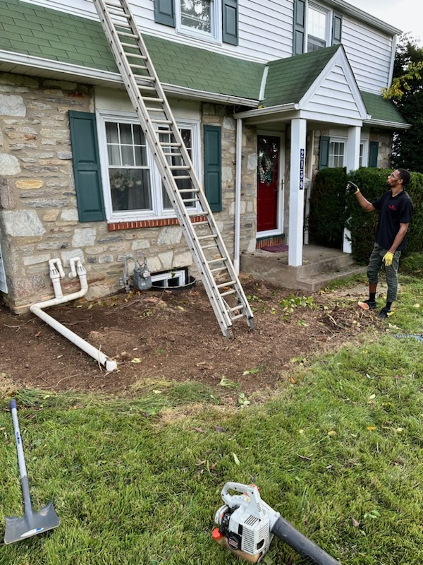 Brush & Yard Waste Removal - MCM Hauling of Philadelphia, PA