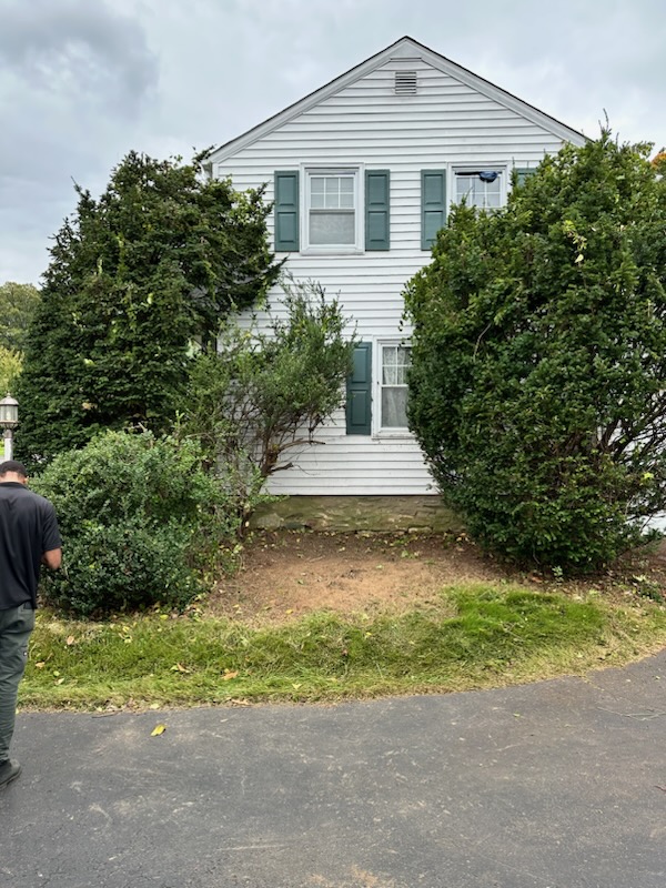 Brush & Yard Waste Removal - MCM Hauling of Philadelphia, PA