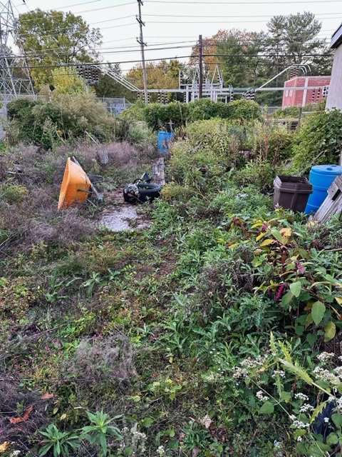 Yard Waste Removal - MCM Hauling of Philadelphia, PA