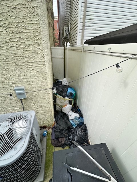 BEFORE - Yard Cleanup