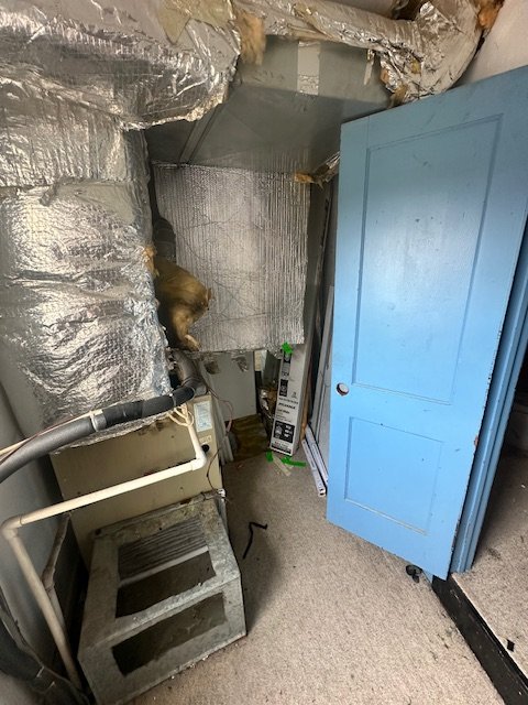 Dance Studio Cleanout