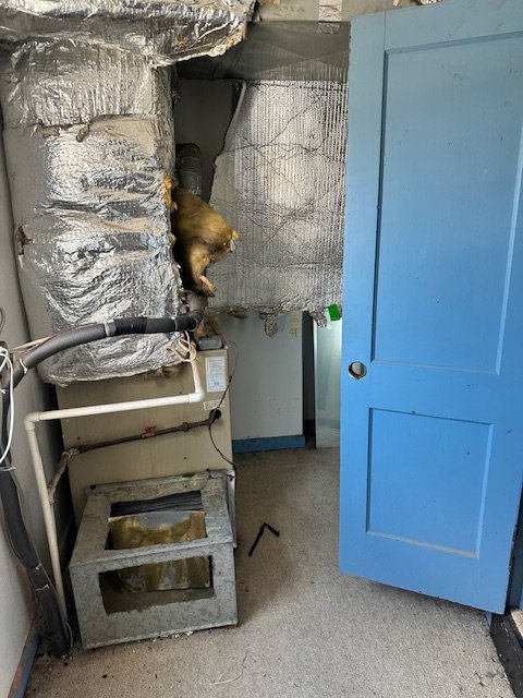 Dance Studio Cleanout