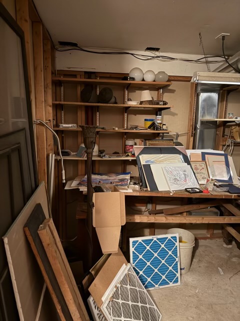 BEFORE - House Cleanout