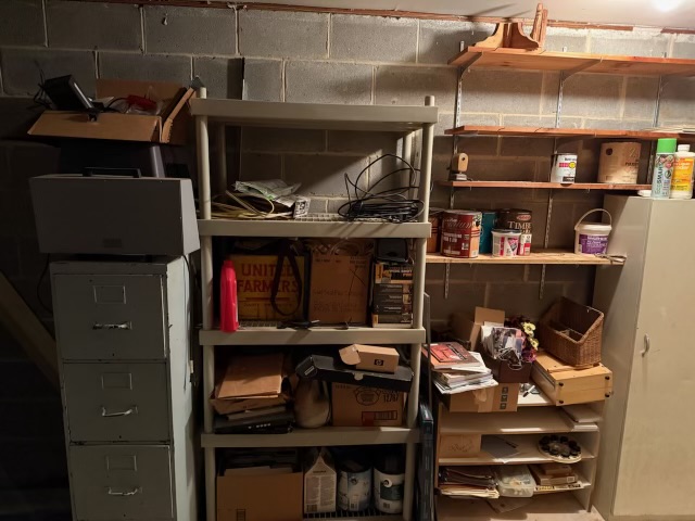 BEFORE - House Cleanout