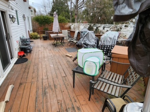 BEFORE - Deck Removal