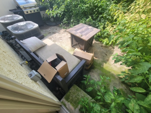 BEFORE - Yard Cleanup