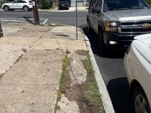 AFTER - Junk Removal