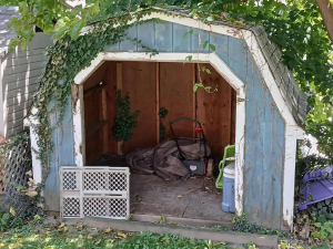 BEFORE - Shed Removal
