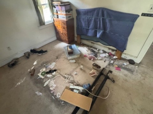 BEFORE - Cleanout