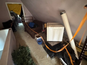 DURING - Cleanout
