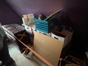 BEFORE - Cleanout
