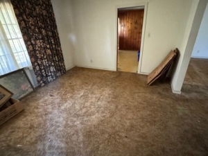 AFTER - Cleanout