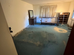 BEFORE - Cleanout