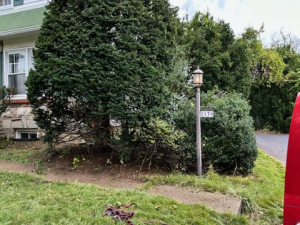 Brush & Yard Waste Removal - MCM Hauling of Philadelphia, PA