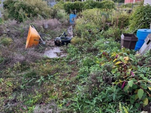 Yard Waste Removal - MCM Hauling of Philadelphia, PA