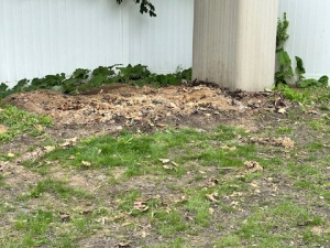 AFTER - Shed & Debris Removal