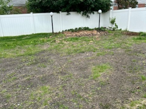 AFTER - Shed & Debris Removal