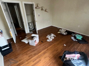 BEFORE - Tenant Clean Out