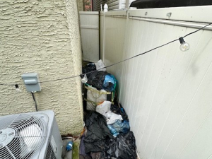 BEFORE - Yard Cleanup