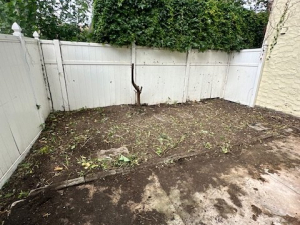 AFTER - Yard Cleanup