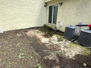 AFTER - Yard Cleanup
