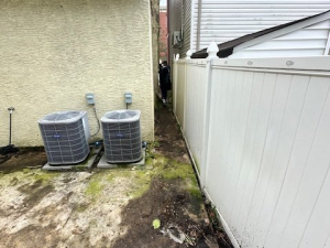 AFTER - Yard Cleanup