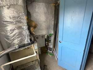 Dance Studio Cleanout