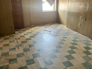 Dance Studio Cleanout