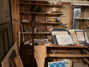 BEFORE - House Cleanout