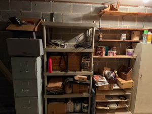 BEFORE - House Cleanout